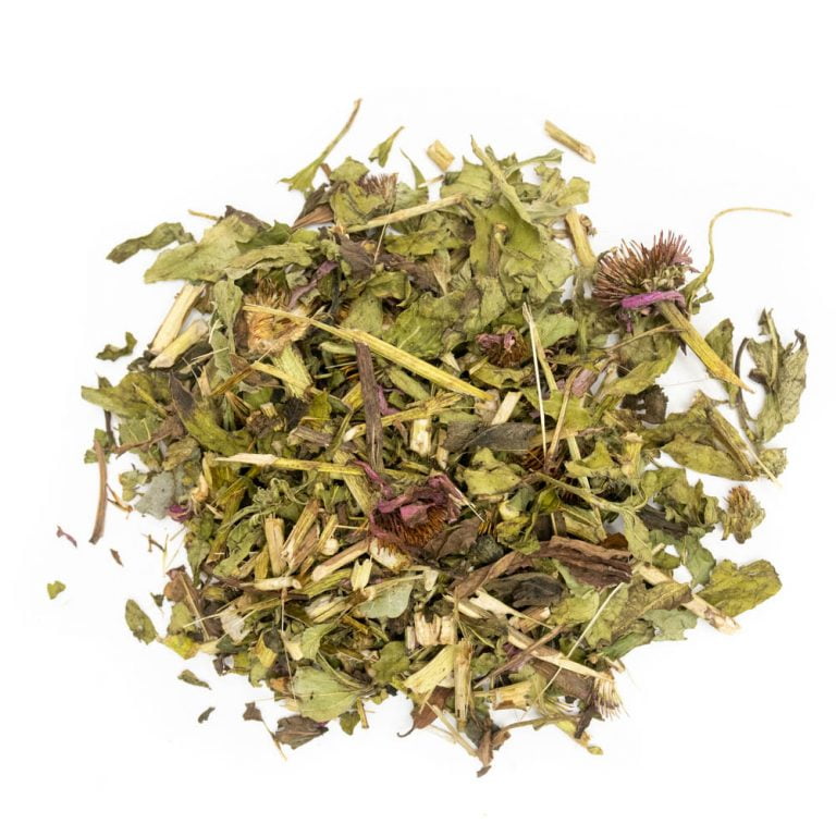 Echinacea Rabbits World