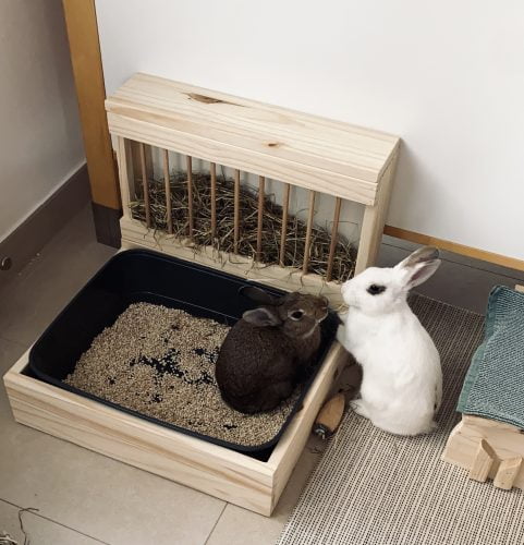 Râtelier-litière pour les lapins