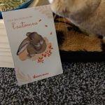 Le râtelier-litière medium pour lapin photo review
