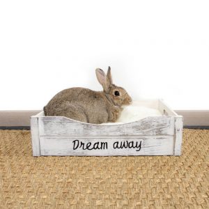 Panier Dream Away pour lapin