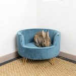 Sofa bleu pétrole pour les lapins