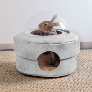 Capsule spatiale pour les lapins