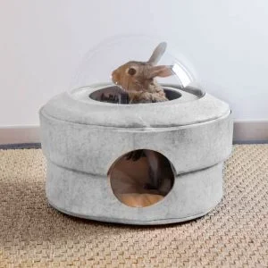 Capsule spatiale pour les lapins