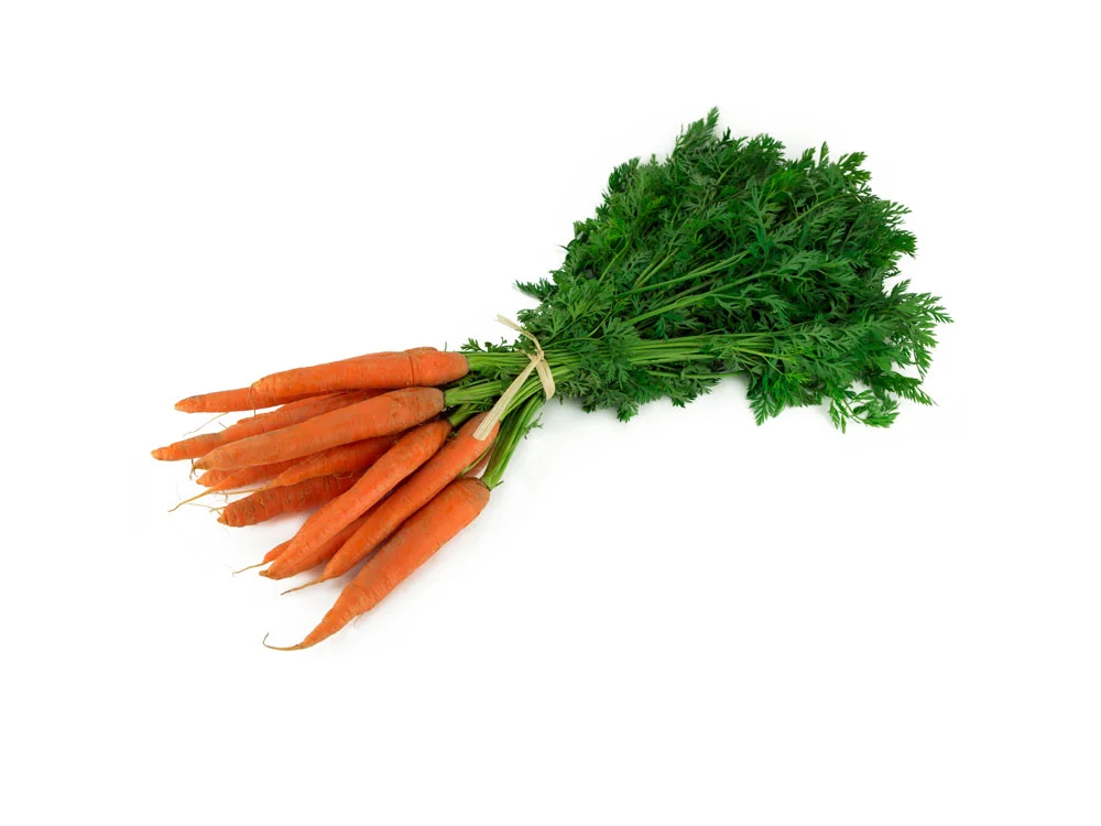 carotte et fanes pour lapin