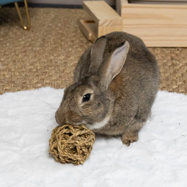 Balle en fibres naturelles pour les lapins