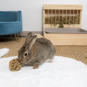 Balle en fibres naturelles pour les lapins