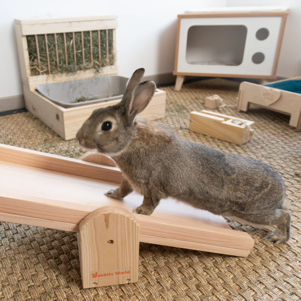 Bascule Krokmou en bois pour les lapins