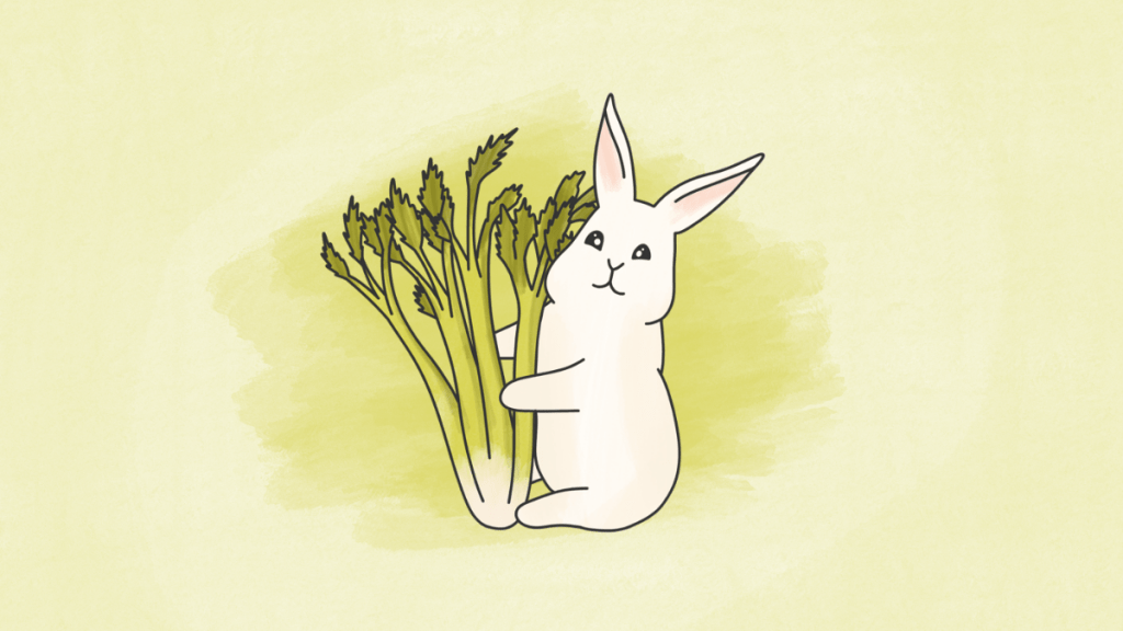 Céleri branche pour le lapin