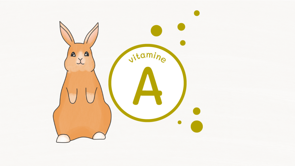 vitamineA pour lapin