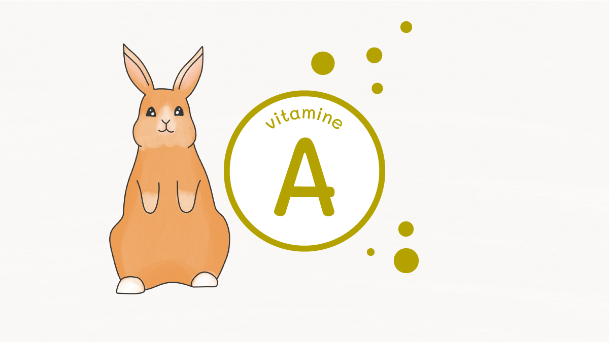vitamineA pour lapin