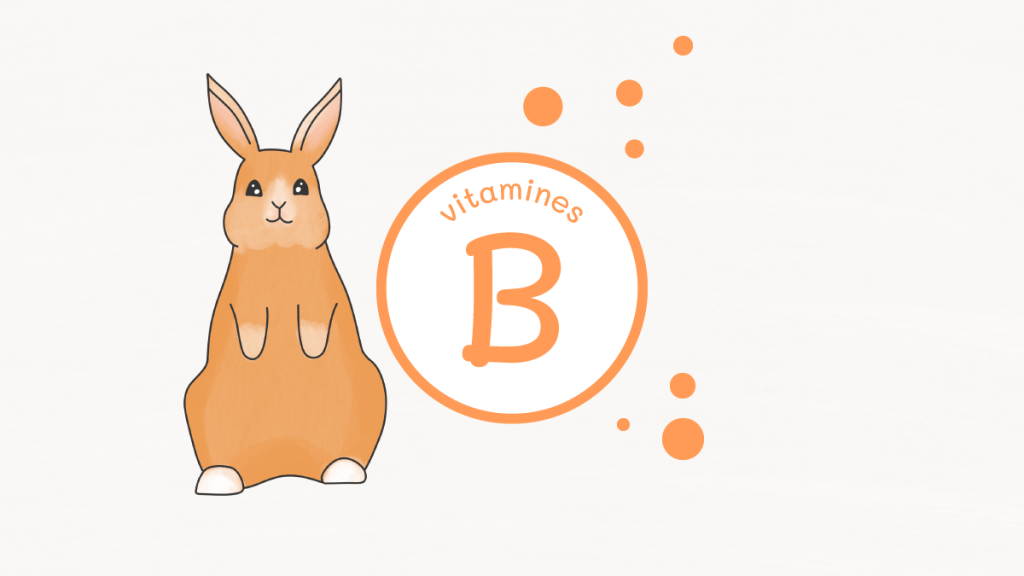 vitamineB pour lapin