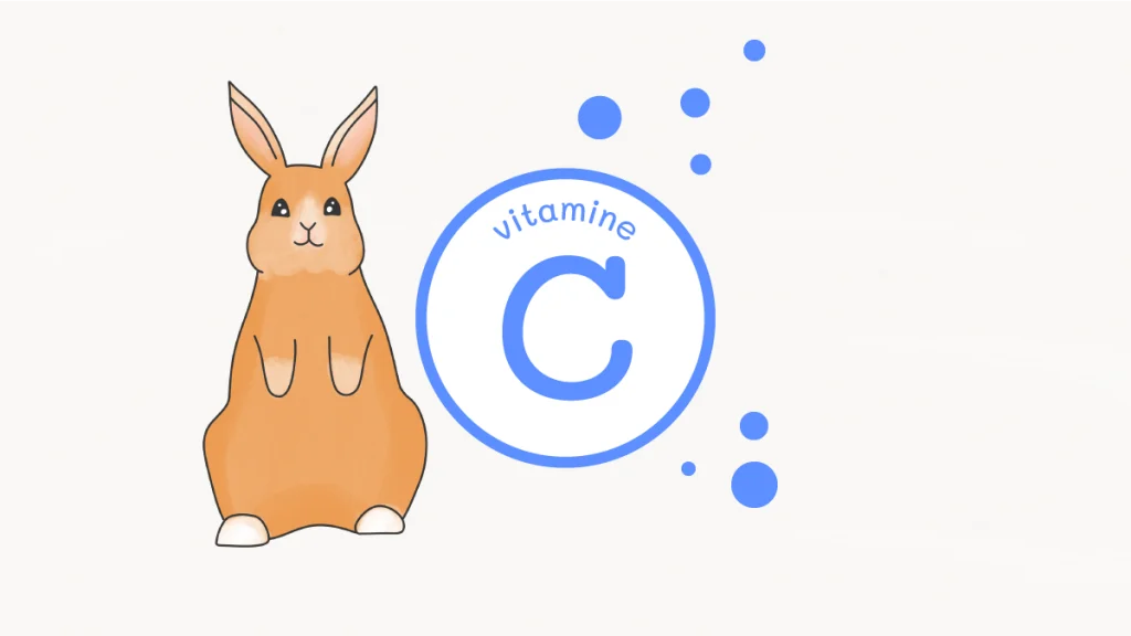 vitamineC pour lapin