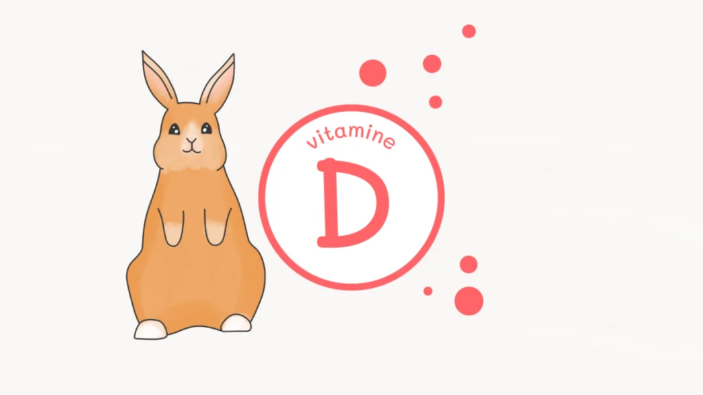 vitamineD pour lapin