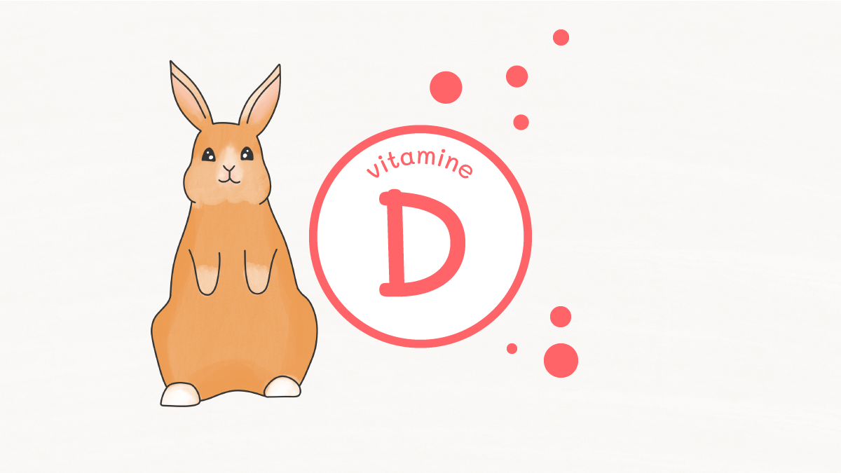 vitamineD pour lapin
