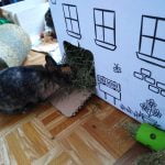 Foin de montagne pour lapin, maison 6kg photo review
