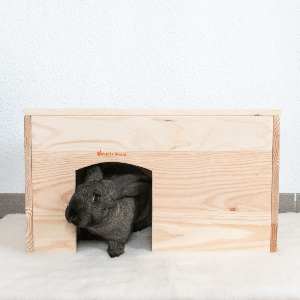 Maison Pollux en bois pour grands lapins