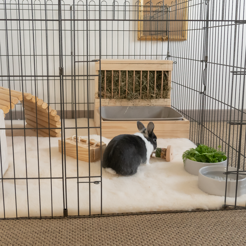 Astuces pour aménager un enclos - Rabbits World