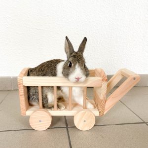 Charrette-rÃ¢telier Ã  foin en bois pour les lapins