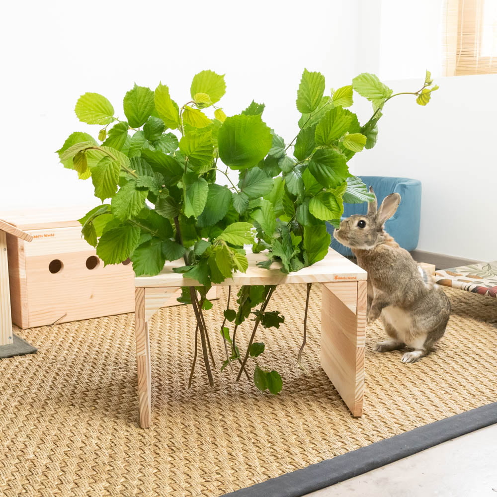 Table à branchages en bois pour les lapins
