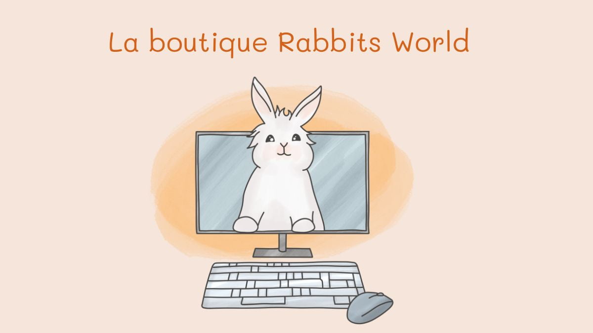 La boutique Rabbits World