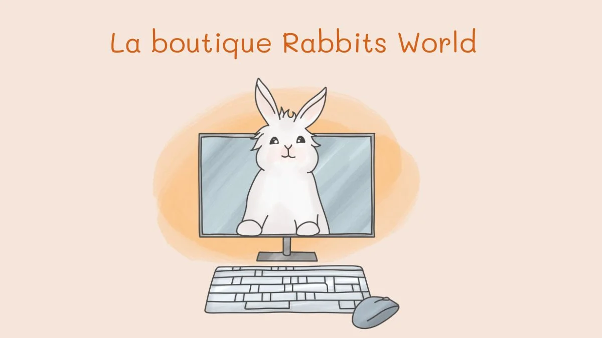 La boutique Rabbits World