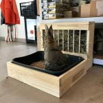 Râtelier-litière taille medium pour lapin nain