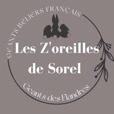 Logo élevage Les Z'oreilles de Sorel