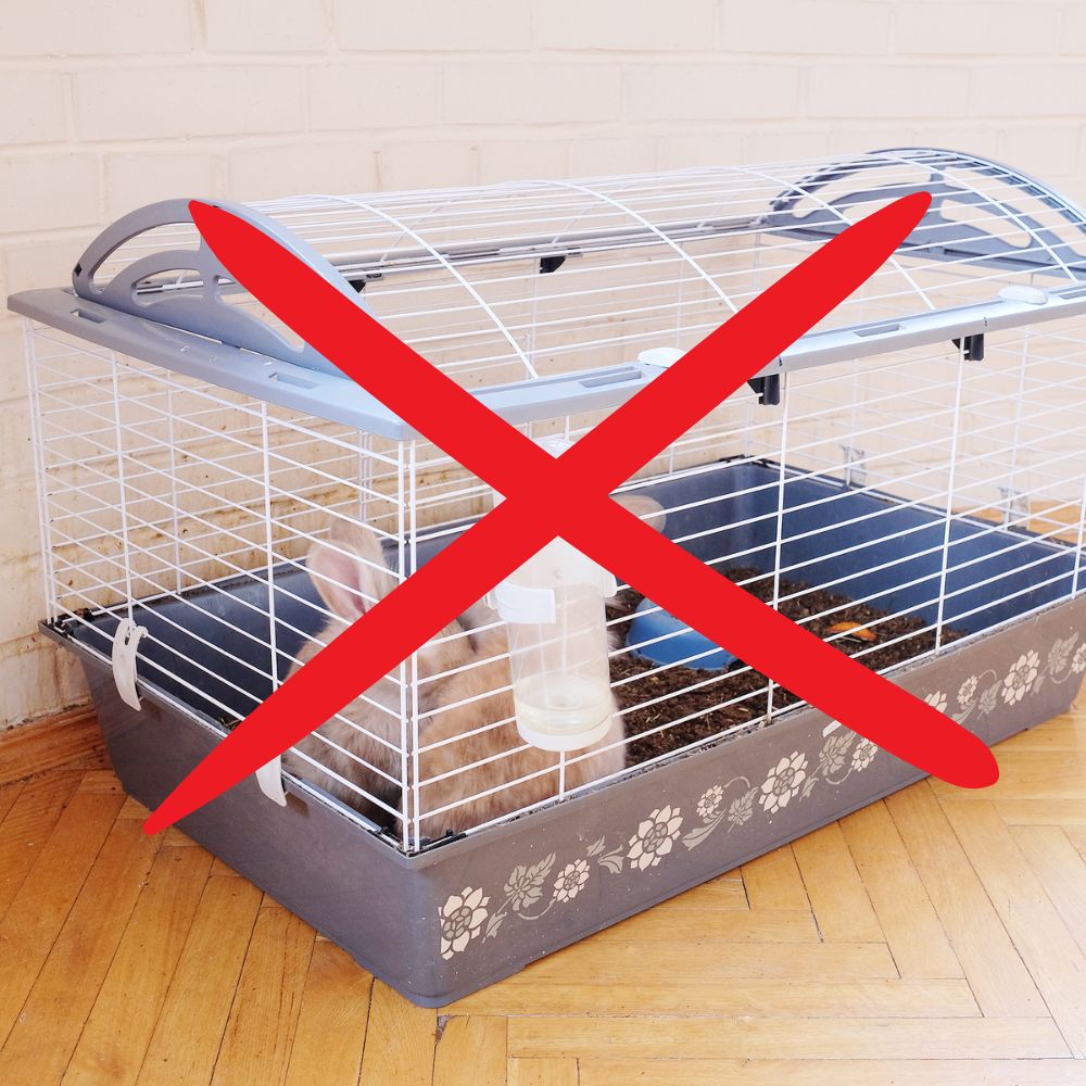 Non aux lapins en cage !