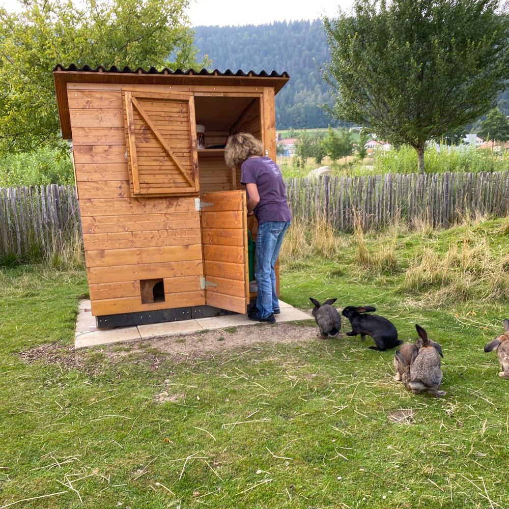 Refuge didactique La Colline Aux Lapins en Suisse