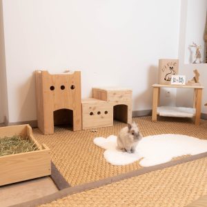 La maison duplex, cabane en bois pour les lapins