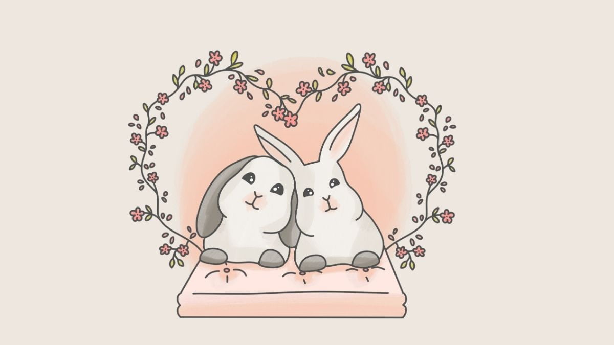 La cohabitation chez le lapin