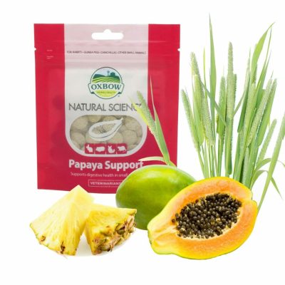 Comprimés de Papaya support pour lapin