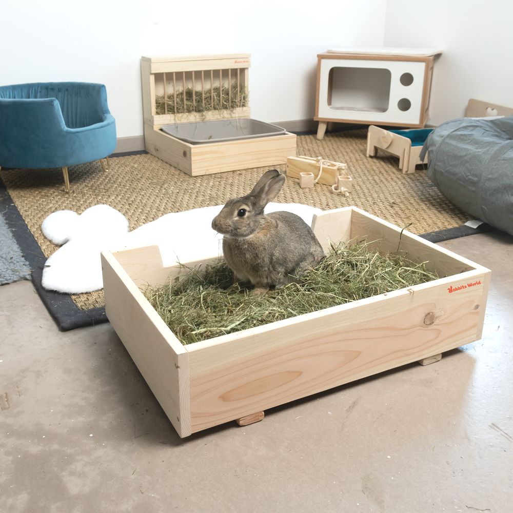 Foin de prairie dépoussiéré pour lapins-Rabbits World