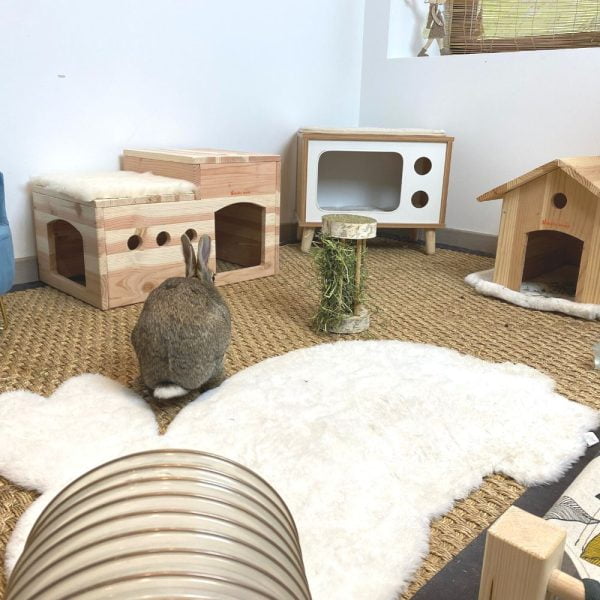 Le duplex, cabane en bois pour les lapins