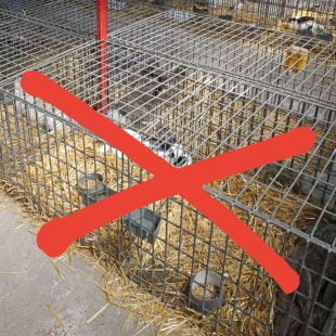 Non aux cages !