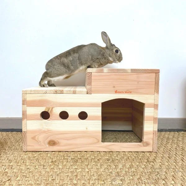 Le duplex, cabane en bois pour les lapins
