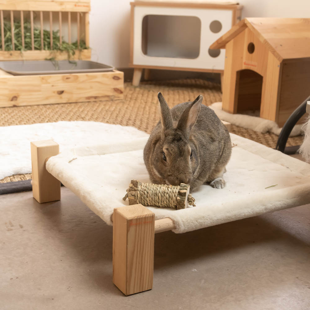 Hochet, jouet en bois pour lapins - Rabbits World