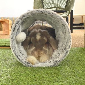 Tunnel Iglie pour lapins