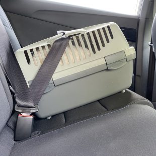 Caisse attachée avec la ceinture de sécurité