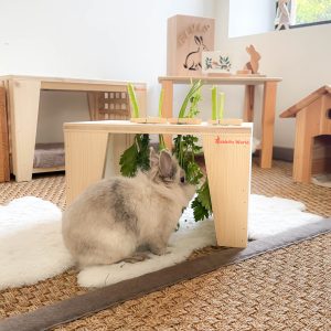 Table à verdure ou branchages pour lapins