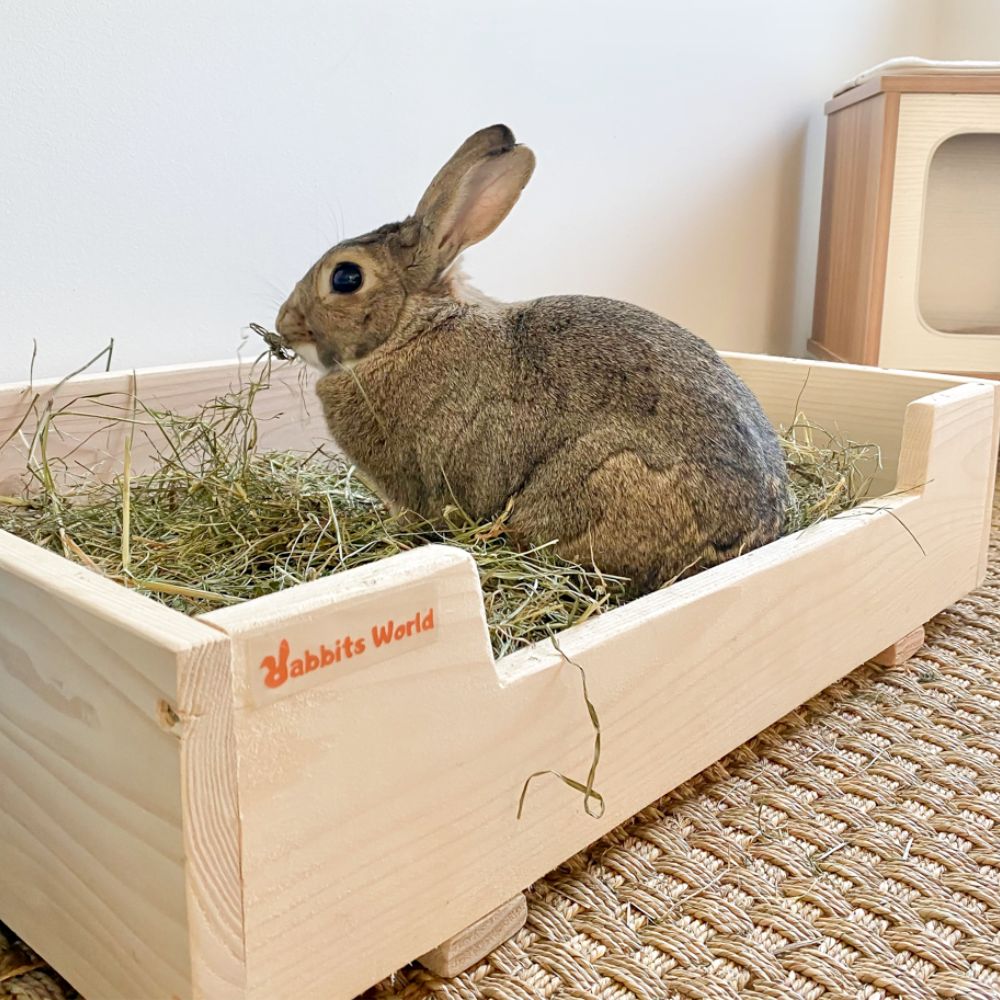 Du foin pour occuper ses lapins