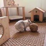 Balle XL en herbe, jouets 100% naturel pour les lapins