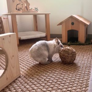 Balle XL en herbe, jouets 100% naturel pour les lapins