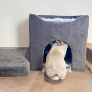 Cabane pliable Teddy pour lapins