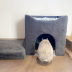Cabane pliable Teddy pour lapins