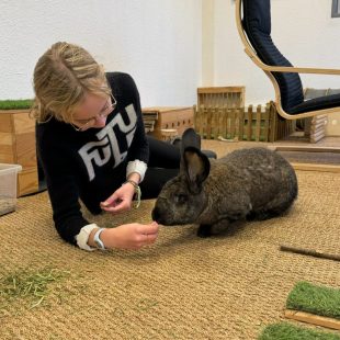 Chloé adolescente et Sway, lapin géant des Flandres