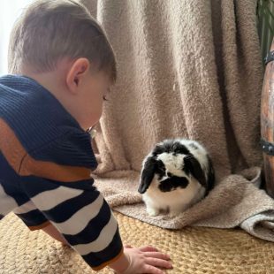 Léandre et son lapin Bambin