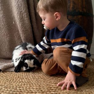 Léandre et son lapin Bambin