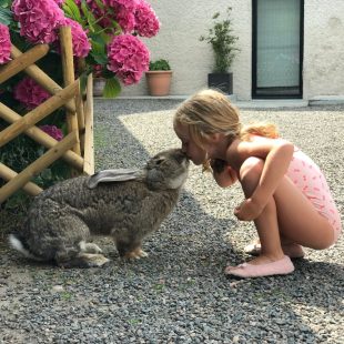 Ma nièce et mon lapin Napoléon, une belle amitié