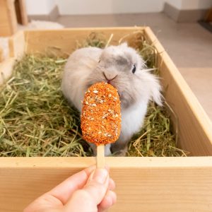 Exqui-Bunny, glace au foin pour les lapins